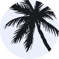 Coconut Trees